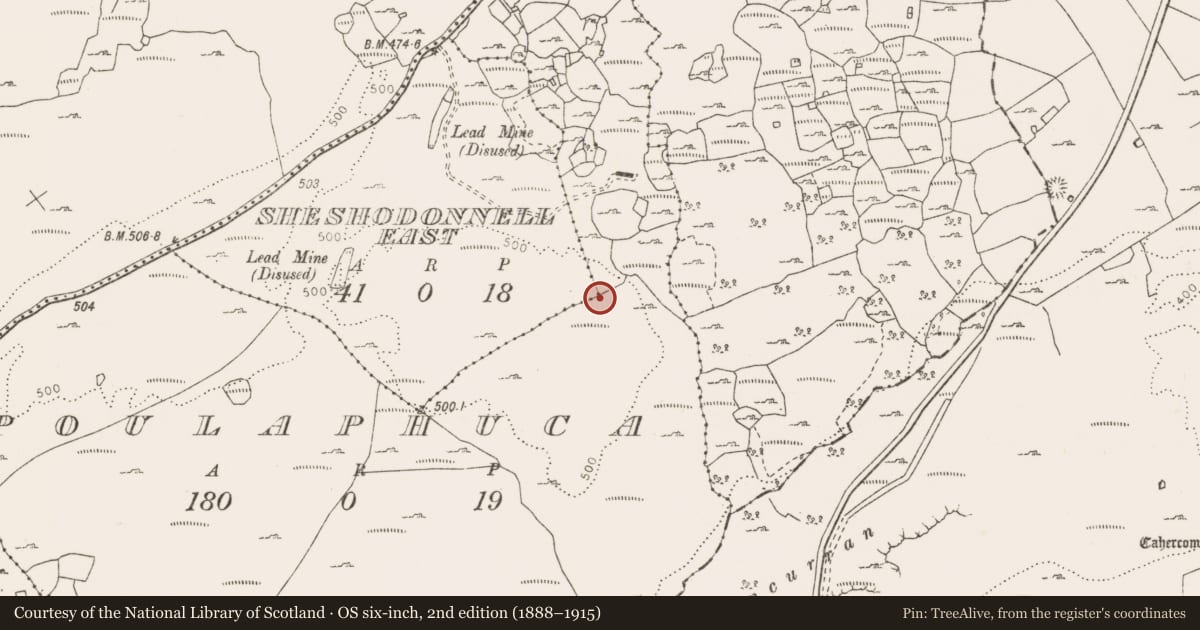 Ordnance Survey six-inch map, 2nd edition (1888–1915) covering the location of Megalithic tomb - wedge tomb, Poulaphuca, Sheshodonnell East, County Clare, with a pin at the register's coordinates