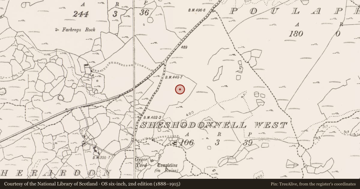Ordnance Survey six-inch map, 2nd edition (1888–1915) covering the location of Enclosure, Sheshodonnell West, County Clare, with a pin at the register's coordinates