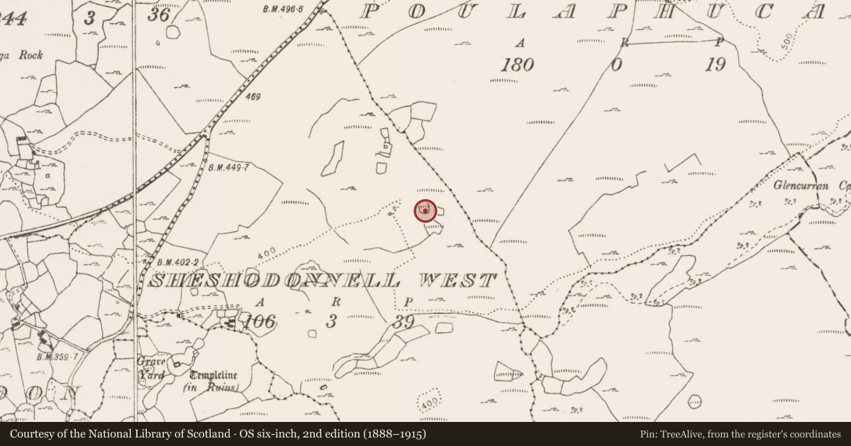 Ordnance Survey six-inch map, 2nd edition (1888–1915) covering the location of Ringfort - cashel, Sheshodonnell West, County Clare, with a pin at the register's coordinates