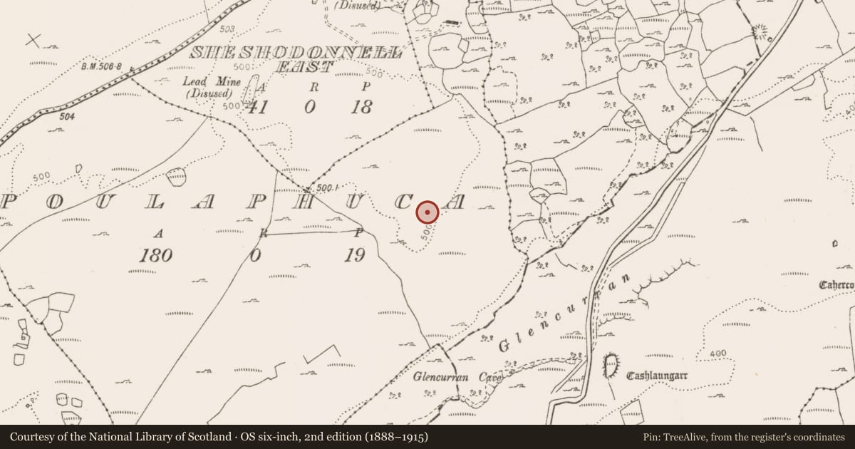 Ordnance Survey six-inch map, 2nd edition (1888–1915) covering the location of Cairn - burial cairn, Poulaphuca, County Clare, with a pin at the register's coordinates