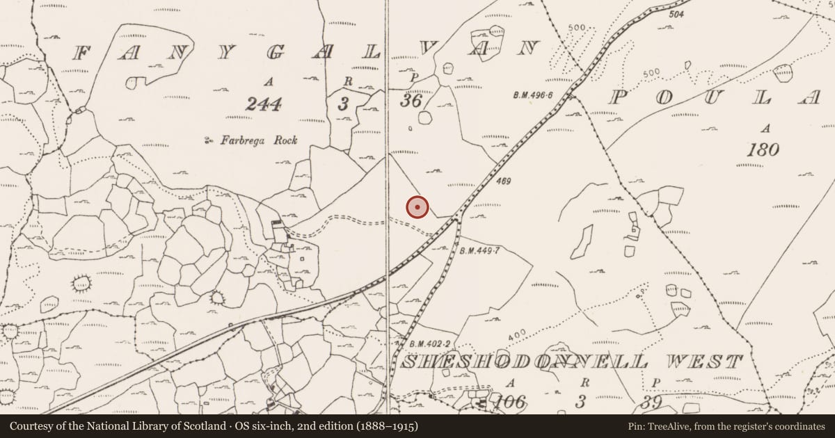 Ordnance Survey six-inch map, 2nd edition (1888–1915) covering the location of Hut site, Fanygalvan, County Clare, with a pin at the register's coordinates