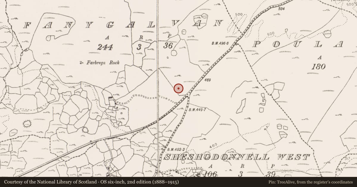 Ordnance Survey six-inch map, 2nd edition (1888–1915) covering the location of Hut site, Fanygalvan, County Clare, with a pin at the register's coordinates