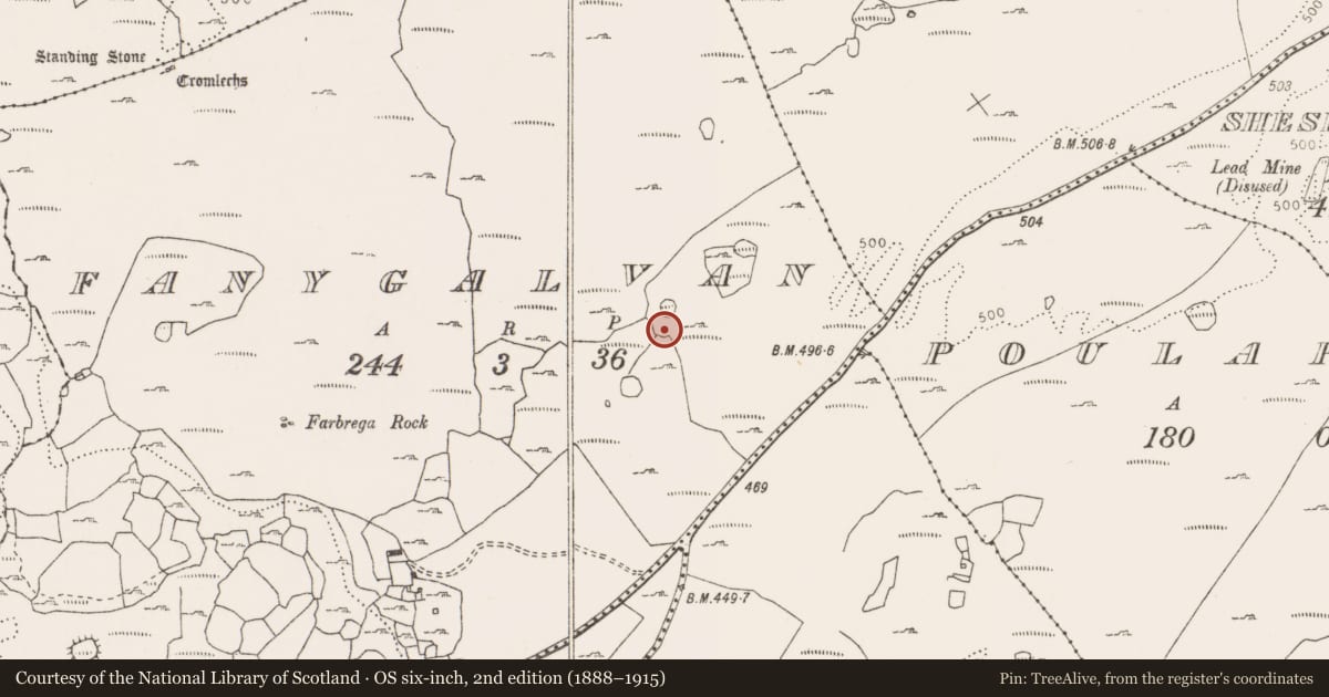 Ordnance Survey six-inch map, 2nd edition (1888–1915) covering the location of Enclosure, Fanygalvan, County Clare, with a pin at the register's coordinates