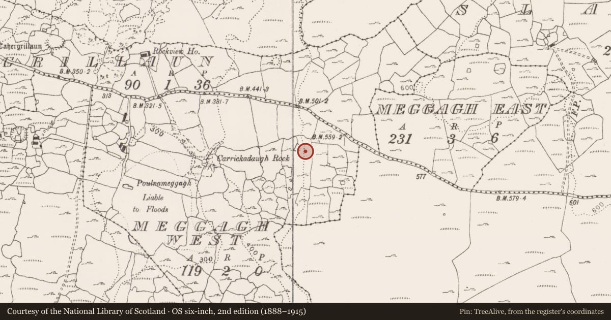 Ordnance Survey six-inch map, 2nd edition (1888–1915) covering the location of Souterrain, Meggagh West, County Clare, with a pin at the register's coordinates