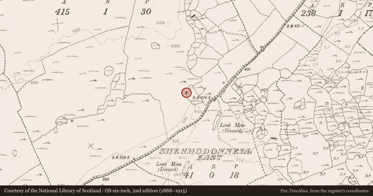 Ordnance Survey six-inch map, 2nd edition (1888–1915) covering the location of Enclosure, Commons, County Clare, with a pin at the register's coordinates