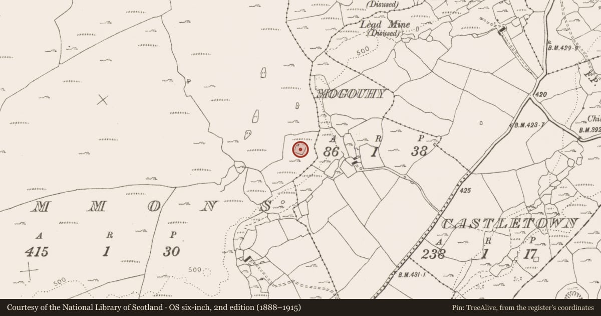Ordnance Survey six-inch map, 2nd edition (1888–1915) covering the location of Ringfort - cashel, Commons, County Clare, with a pin at the register's coordinates