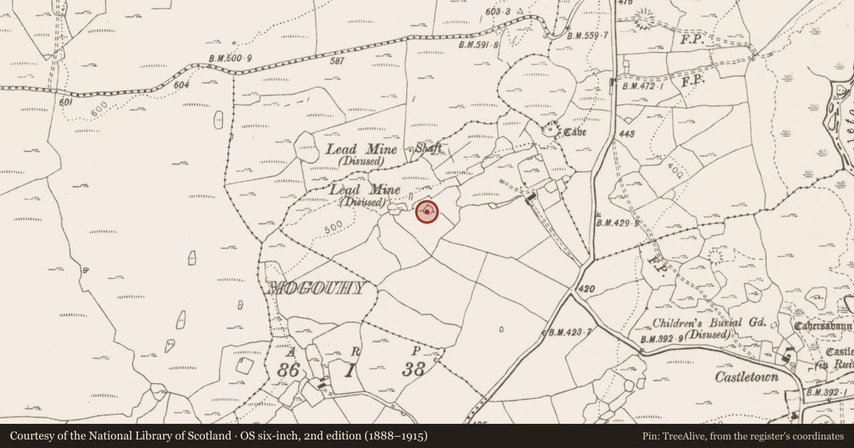 Ordnance Survey six-inch map, 2nd edition (1888–1915) covering the location of Enclosure, Castletown, County Clare, with a pin at the register's coordinates