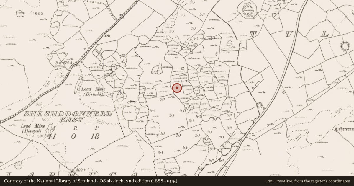 Ordnance Survey six-inch map, 2nd edition (1888–1915) covering the location of Enclosure, Castletown, County Clare, with a pin at the register's coordinates