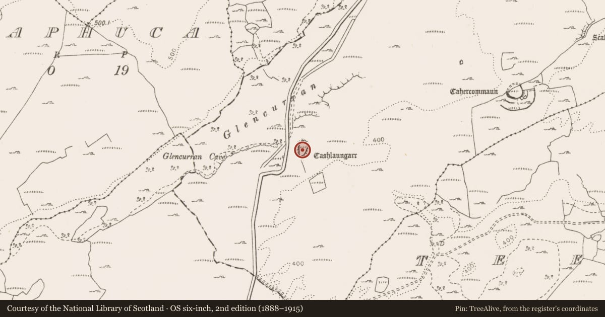 Ordnance Survey six-inch map, 2nd edition (1888–1915) covering the location of Hut site, Tullycommon, County Clare, with a pin at the register's coordinates