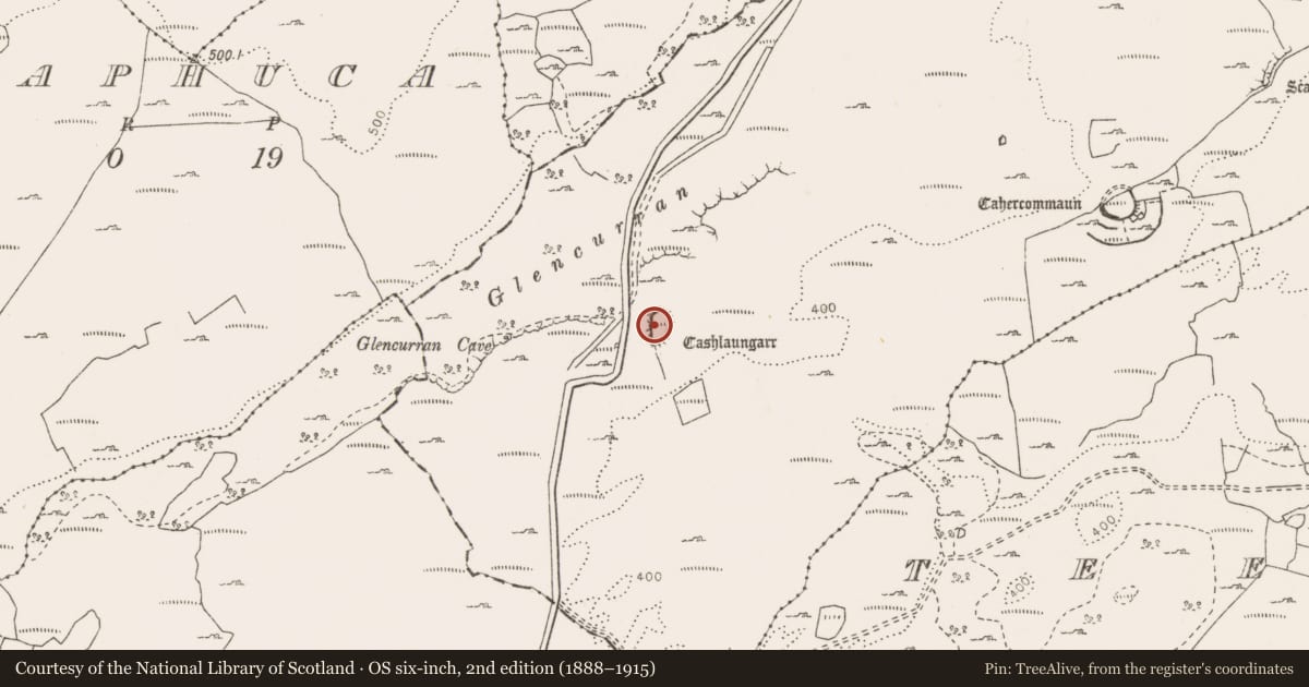Ordnance Survey six-inch map, 2nd edition (1888–1915) covering the location of Hut site, Tullycommon, County Clare, with a pin at the register's coordinates