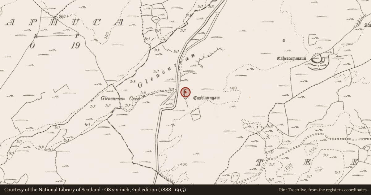 Ordnance Survey six-inch map, 2nd edition (1888–1915) covering the location of Hut site, Tullycommon, County Clare, with a pin at the register's coordinates