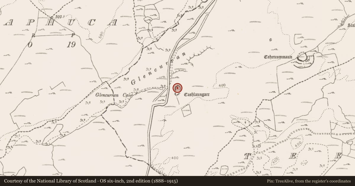 Ordnance Survey six-inch map, 2nd edition (1888–1915) covering the location of Hut site, Tullycommon, County Clare, with a pin at the register's coordinates