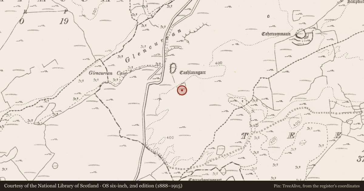 Ordnance Survey six-inch map, 2nd edition (1888–1915) covering the location of Enclosure, Tullycommon, County Clare, with a pin at the register's coordinates