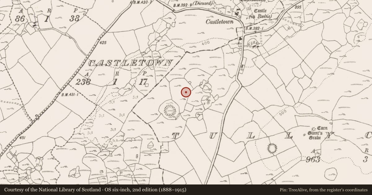 Ordnance Survey six-inch map, 2nd edition (1888–1915) covering the location of Field system, Tullycommon, County Clare, with a pin at the register's coordinates