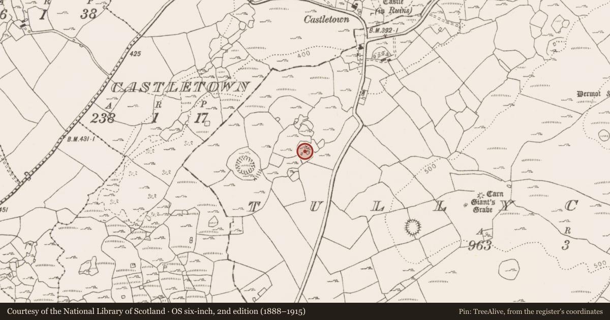 Ordnance Survey six-inch map, 2nd edition (1888–1915) covering the location of Ringfort - cashel, Tullycommon, County Clare, with a pin at the register's coordinates