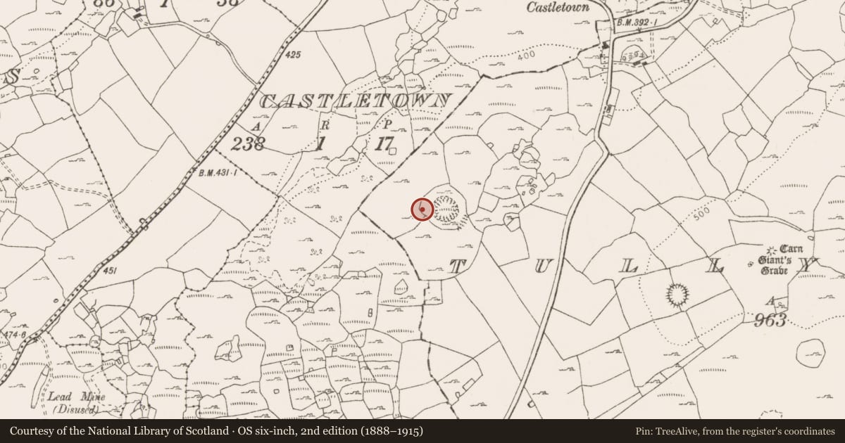 Ordnance Survey six-inch map, 2nd edition (1888–1915) covering the location of Fulacht fia, Tullycommon, County Clare, with a pin at the register's coordinates