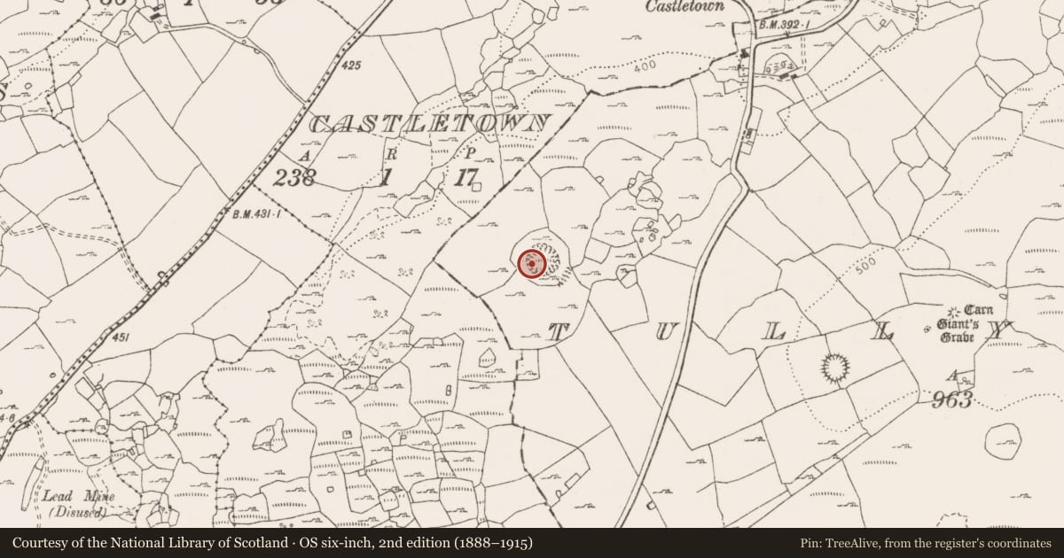 Ordnance Survey six-inch map, 2nd edition (1888–1915) covering the location of Hut site, Tullycommon, County Clare, with a pin at the register's coordinates