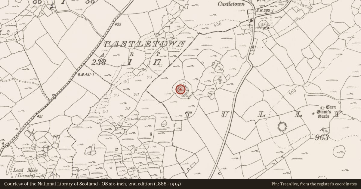 Ordnance Survey six-inch map, 2nd edition (1888–1915) covering the location of House - indeterminate date, Tullycommon, County Clare, with a pin at the register's coordinates