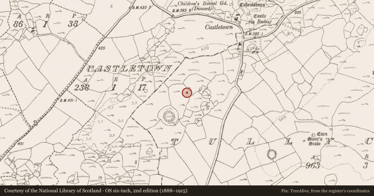 Ordnance Survey six-inch map, 2nd edition (1888–1915) covering the location of Hut site, Tullycommon, County Clare, with a pin at the register's coordinates
