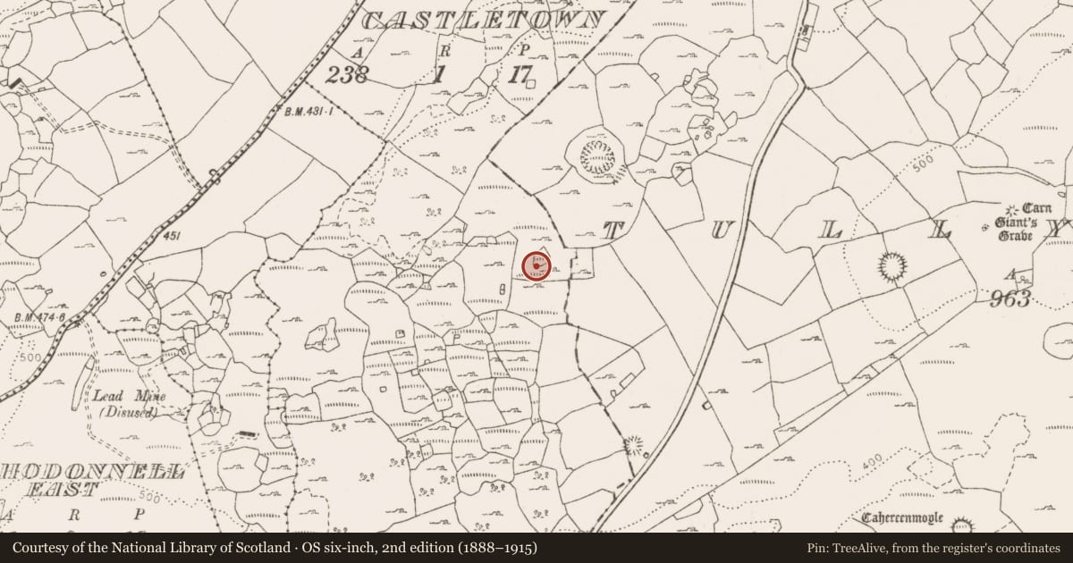 Ordnance Survey six-inch map, 2nd edition (1888–1915) covering the location of Enclosure, Castletown, County Clare, with a pin at the register's coordinates