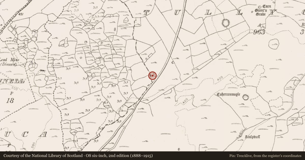 Ordnance Survey six-inch map, 2nd edition (1888–1915) covering the location of Ringfort - rath, Castletown, Tullycommon, County Clare, with a pin at the register's coordinates