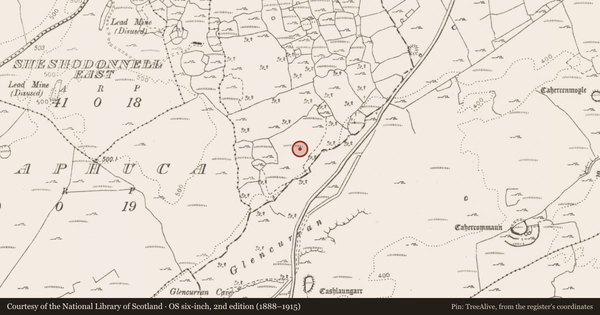Ordnance Survey six-inch map, 2nd edition (1888–1915) covering the location of Enclosure, Castletown, County Clare, with a pin at the register's coordinates