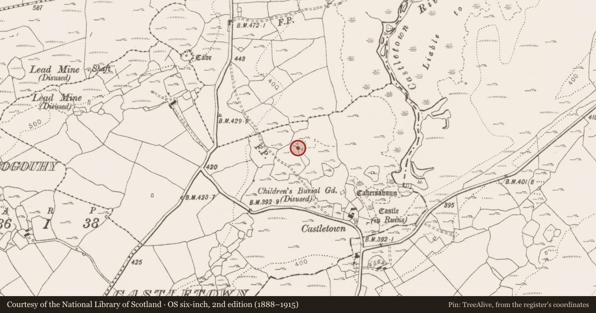 Ordnance Survey six-inch map, 2nd edition (1888–1915) covering the location of Enclosure, Castletown, County Clare, with a pin at the register's coordinates