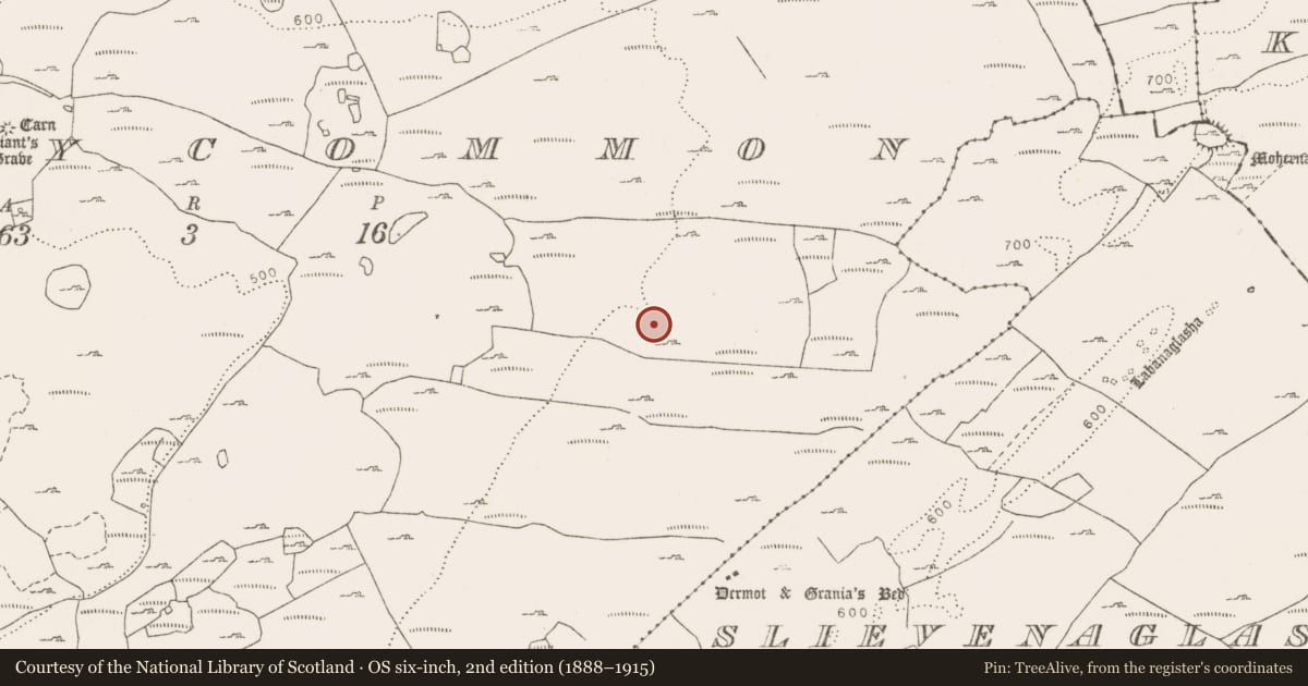 Ordnance Survey six-inch map, 2nd edition (1888–1915) covering the location of Field system, County Clare, with a pin at the register's coordinates
