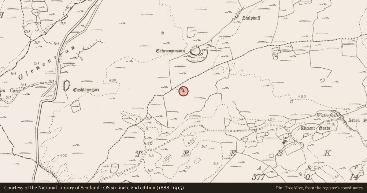 Ordnance Survey six-inch map, 2nd edition (1888–1915) covering the location of Hut site, Teeskagh, County Clare, with a pin at the register's coordinates
