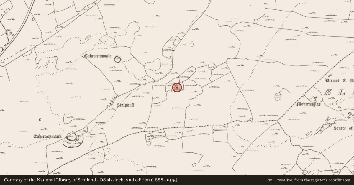 Ordnance Survey six-inch map, 2nd edition (1888–1915) covering the location of Enclosure, Tullycommon, County Clare, with a pin at the register's coordinates