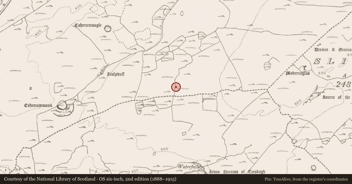 Ordnance Survey six-inch map, 2nd edition (1888–1915) covering the location of Megalithic tomb - wedge tomb, Tullycommon, County Clare, with a pin at the register's coordinates