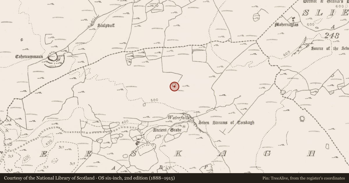 Ordnance Survey six-inch map, 2nd edition (1888–1915) covering the location of Enclosure, Teeskagh, County Clare, with a pin at the register's coordinates
