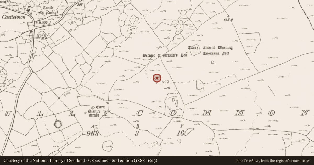 Ordnance Survey six-inch map, 2nd edition (1888–1915) covering the location of Ringfort - cashel, Tullycommon, County Clare, with a pin at the register's coordinates