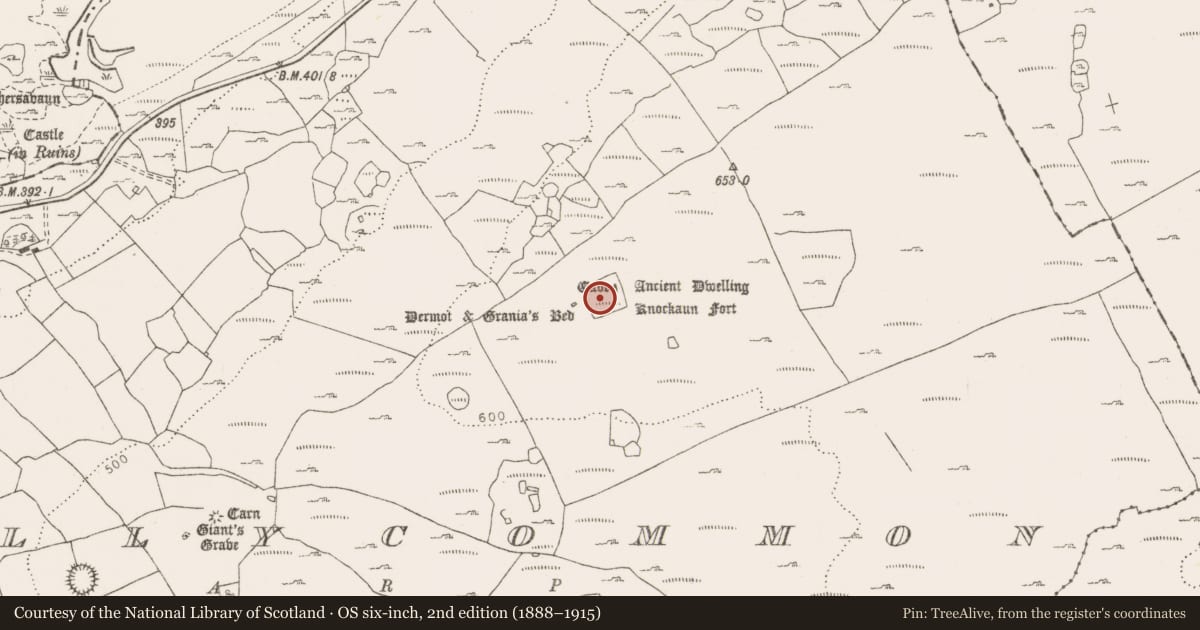 Ordnance Survey six-inch map, 2nd edition (1888–1915) covering the location of Ringfort - cashel, Tullycommon, County Clare, with a pin at the register's coordinates