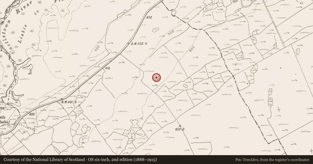 Ordnance Survey six-inch map, 2nd edition (1888–1915) covering the location of Ringfort - cashel, Tullycommon, County Clare, with a pin at the register's coordinates