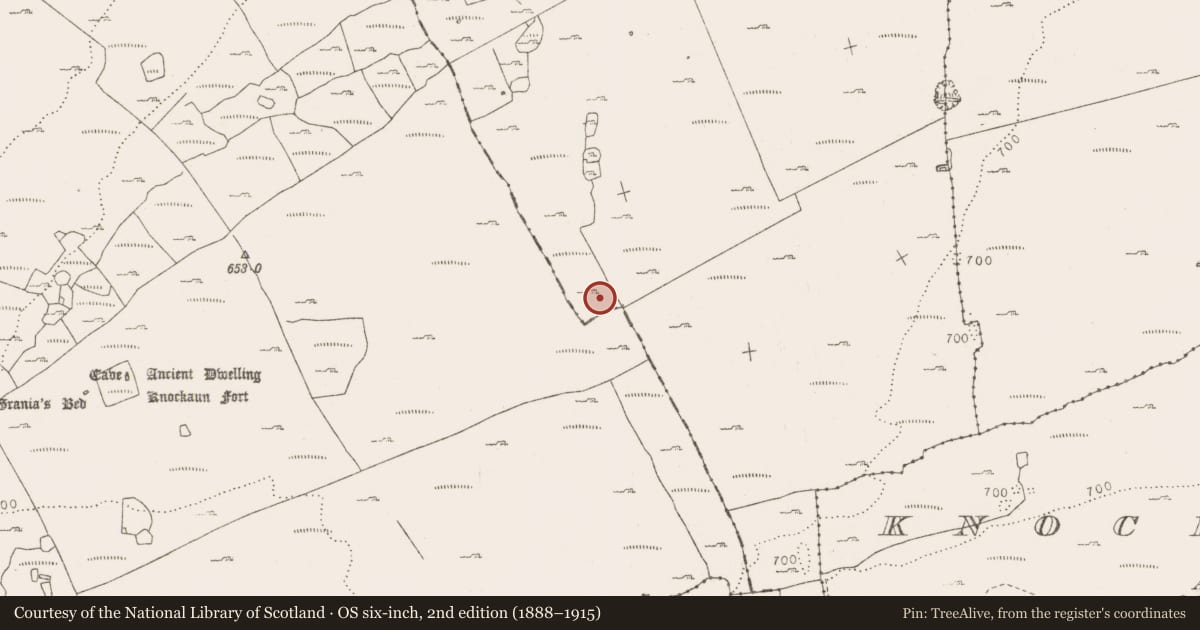 Ordnance Survey six-inch map, 2nd edition (1888–1915) covering the location of Ringfort - cashel, Fahee South, County Clare, with a pin at the register's coordinates