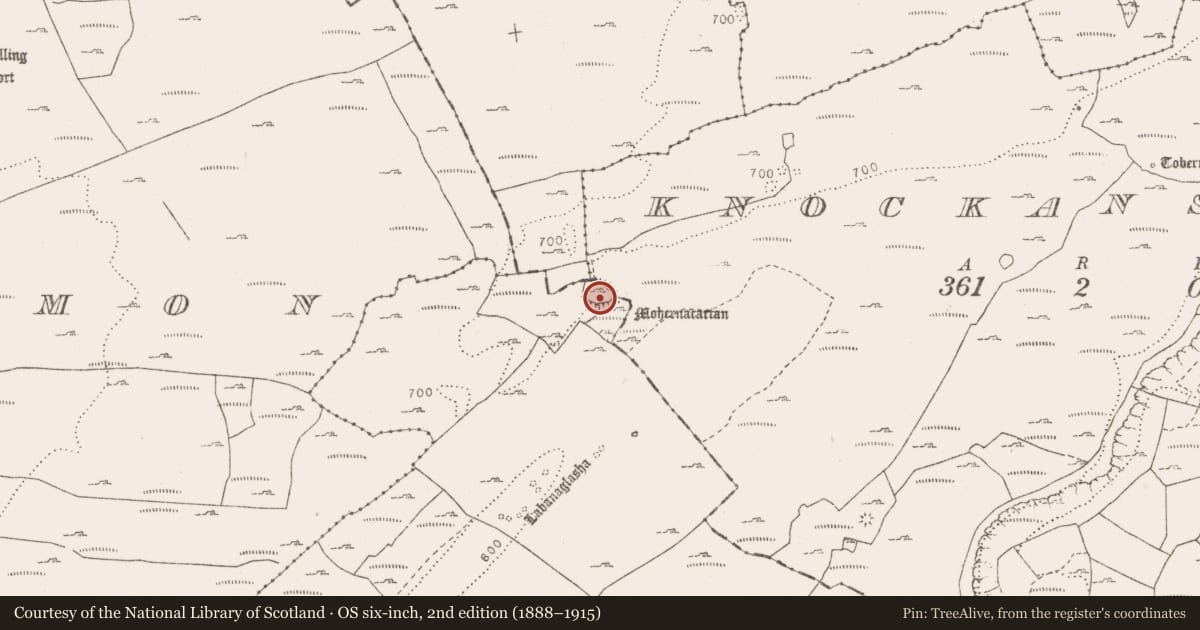 Ordnance Survey six-inch map, 2nd edition (1888–1915) covering the location of Ringfort - cashel, County Clare, with a pin at the register's coordinates