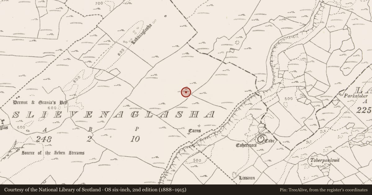 Ordnance Survey six-inch map, 2nd edition (1888–1915) covering the location of Enclosure, Slievenaglasha, County Clare, with a pin at the register's coordinates