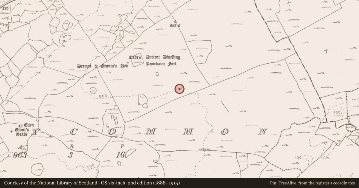 Ordnance Survey six-inch map, 2nd edition (1888–1915) covering the location of Hut site, Tullycommon, County Clare, with a pin at the register's coordinates