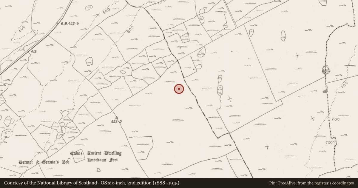 Ordnance Survey six-inch map, 2nd edition (1888–1915) covering the location of Cairn - burial cairn, Tullycommon, County Clare, with a pin at the register's coordinates