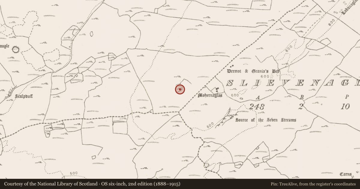 Ordnance Survey six-inch map, 2nd edition (1888–1915) covering the location of Souterrain, Tullycommon, County Clare, with a pin at the register's coordinates