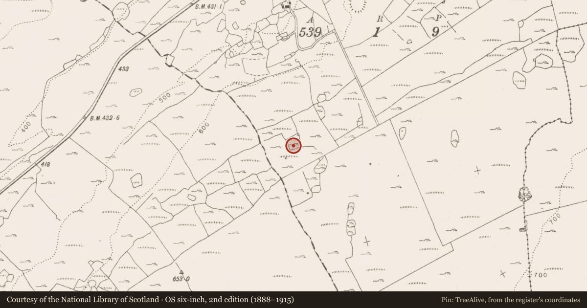 Ordnance Survey six-inch map, 2nd edition (1888–1915) covering the location of Ringfort - cashel, Fahee South, County Clare, with a pin at the register's coordinates