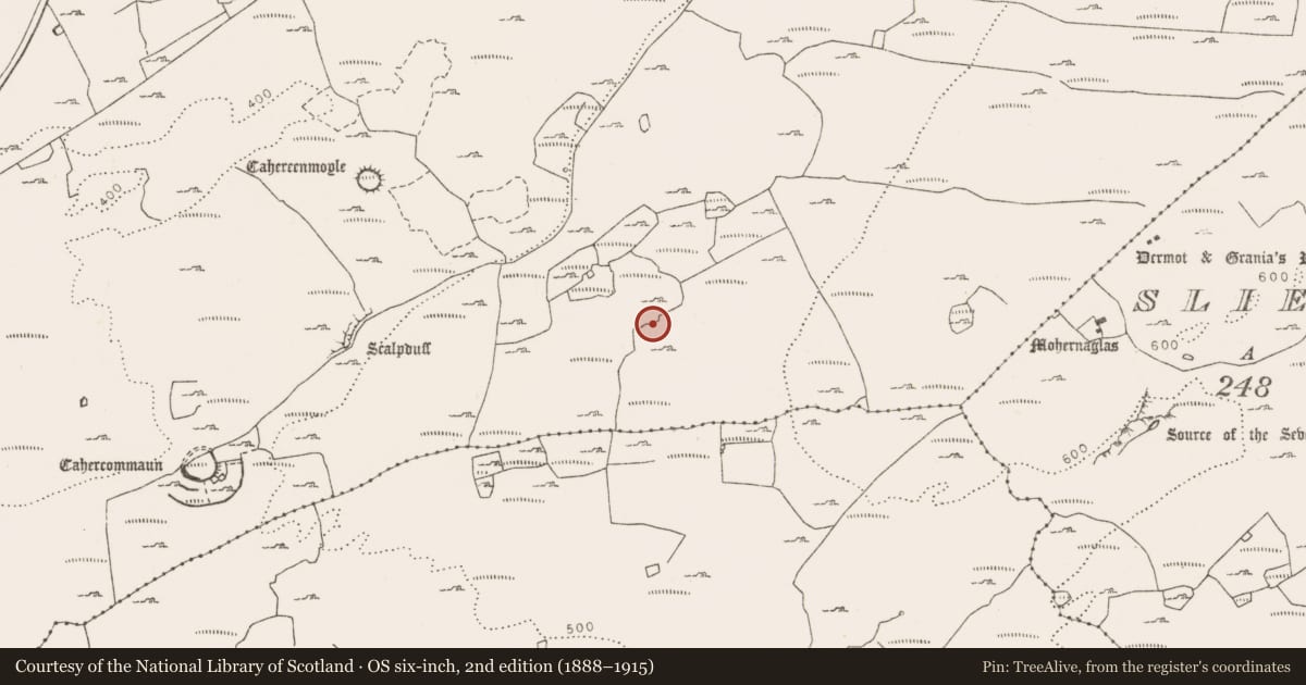 Ordnance Survey six-inch map, 2nd edition (1888–1915) covering the location of Ringfort - cashel, Tullycommon, County Clare, with a pin at the register's coordinates