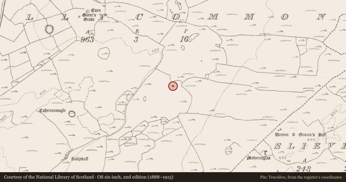 Ordnance Survey six-inch map, 2nd edition (1888–1915) covering the location of Enclosure, Tullycommon, County Clare, with a pin at the register's coordinates