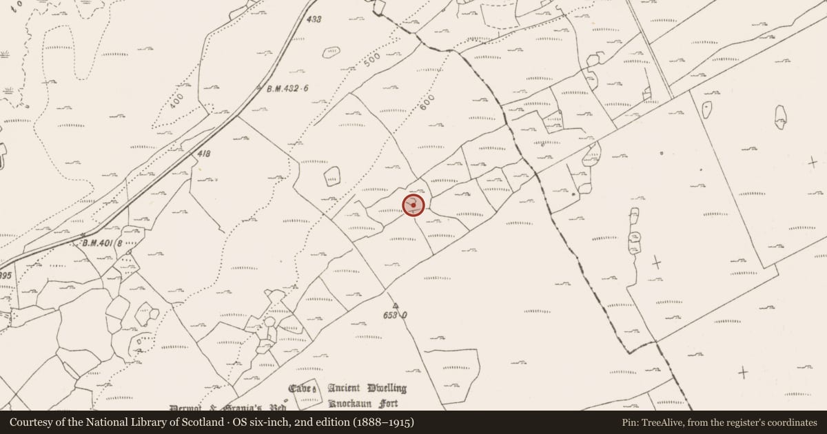Ordnance Survey six-inch map, 2nd edition (1888–1915) covering the location of Enclosure, Tullycommon, County Clare, with a pin at the register's coordinates
