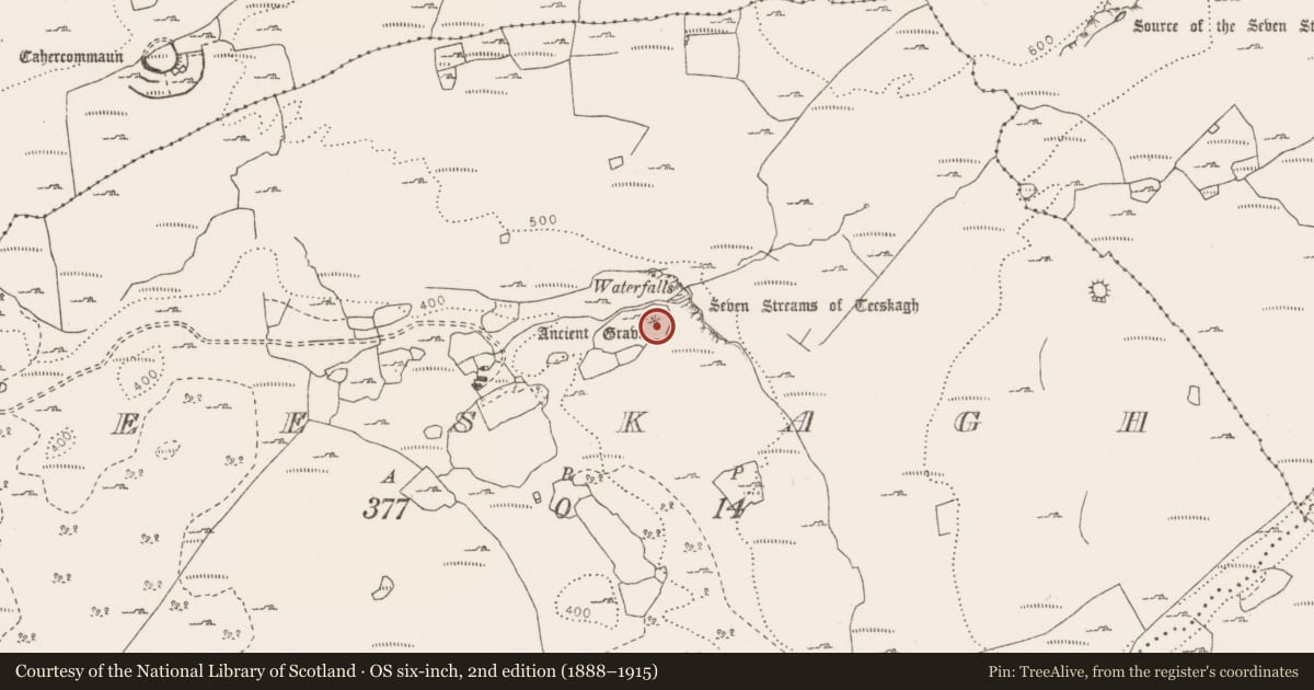 Ordnance Survey six-inch map, 2nd edition (1888–1915) covering the location of Cist, Teeskagh, County Clare, with a pin at the register's coordinates