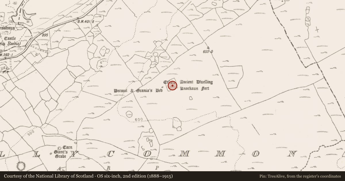 Ordnance Survey six-inch map, 2nd edition (1888–1915) covering the location of Souterrain, Tullycommon, County Clare, with a pin at the register's coordinates
