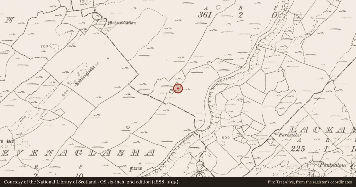 Ordnance Survey six-inch map, 2nd edition (1888–1915) covering the location of Souterrain, Knockans Upper, County Clare, with a pin at the register's coordinates