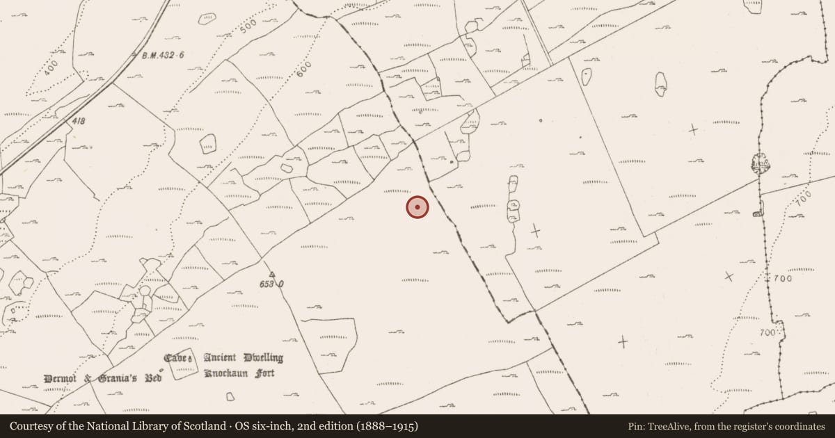 Ordnance Survey six-inch map, 2nd edition (1888–1915) covering the location of Cist, Tullycommon, County Clare, with a pin at the register's coordinates