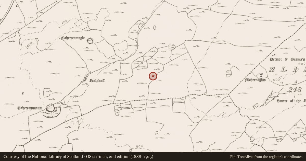 Ordnance Survey six-inch map, 2nd edition (1888–1915) covering the location of Ringfort - cashel, Tullycommon, County Clare, with a pin at the register's coordinates